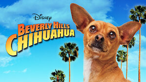 beverly hills chihuahua 3